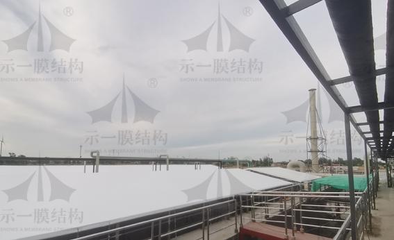 淮安養(yǎng)牛廠膜結構頂棚